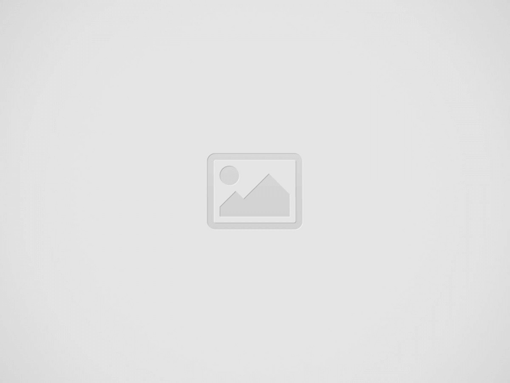 Seguro auto para carro alienado: você sabe como funciona?