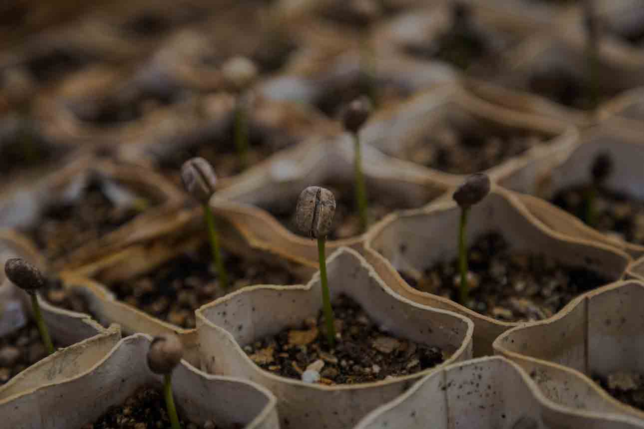 Dicas para Gestão de Pequenas Empresas