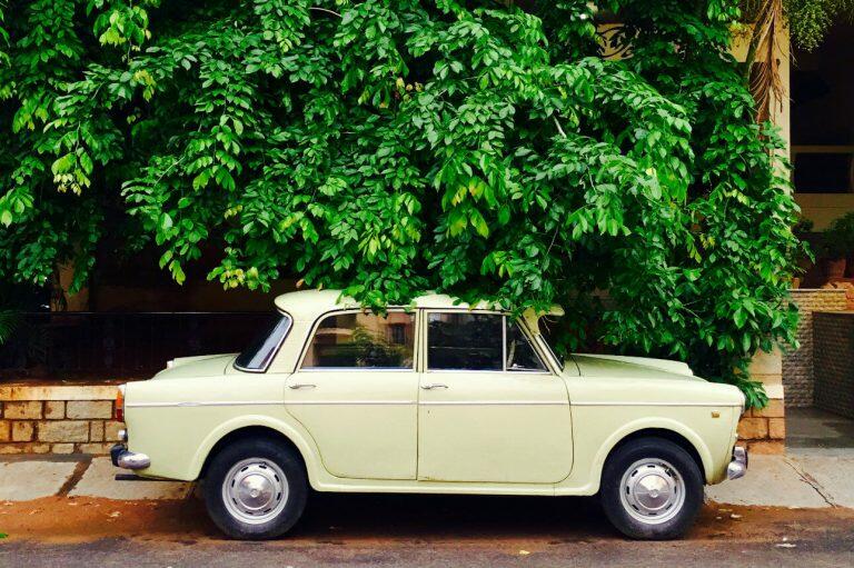 12 mitos e verdades sobre seguros esclarecidos!