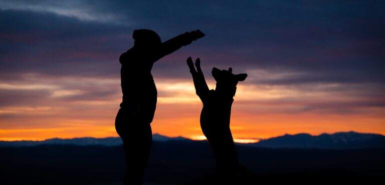 Como evitar acidentes domésticos comuns no dia a dia?