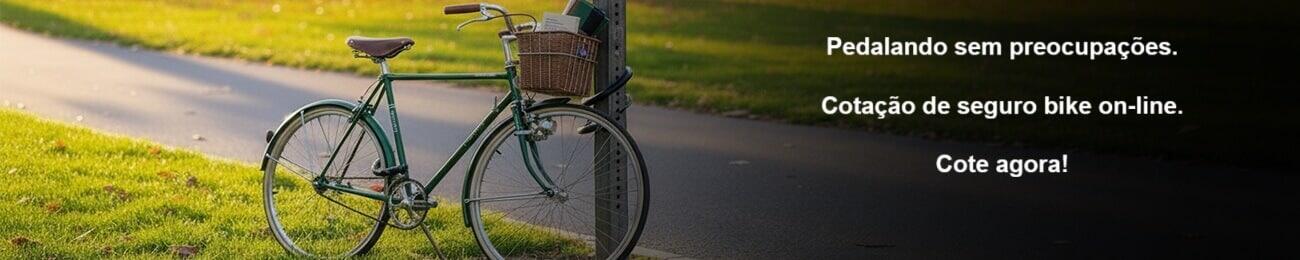 Seguro bike