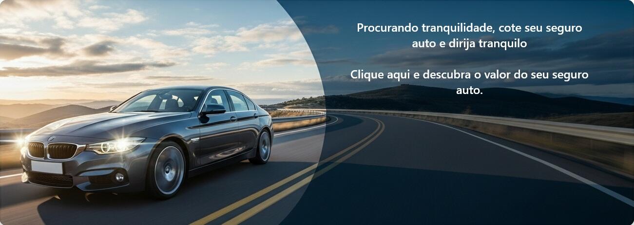 banner seguro auto