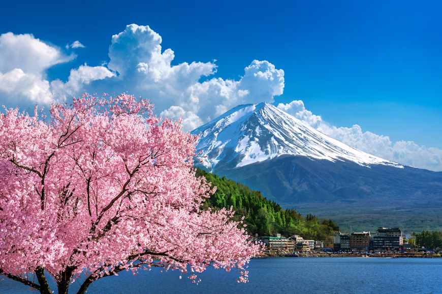 Entenda por que o Japão está em alta entre os turistas e veja dicas importantes para viajar com mais segurança e tranquilidade.
